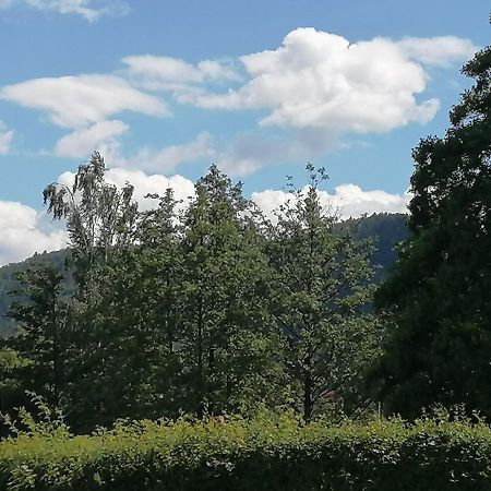 Toepferblick Appartement Olbersdorf Buitenkant foto