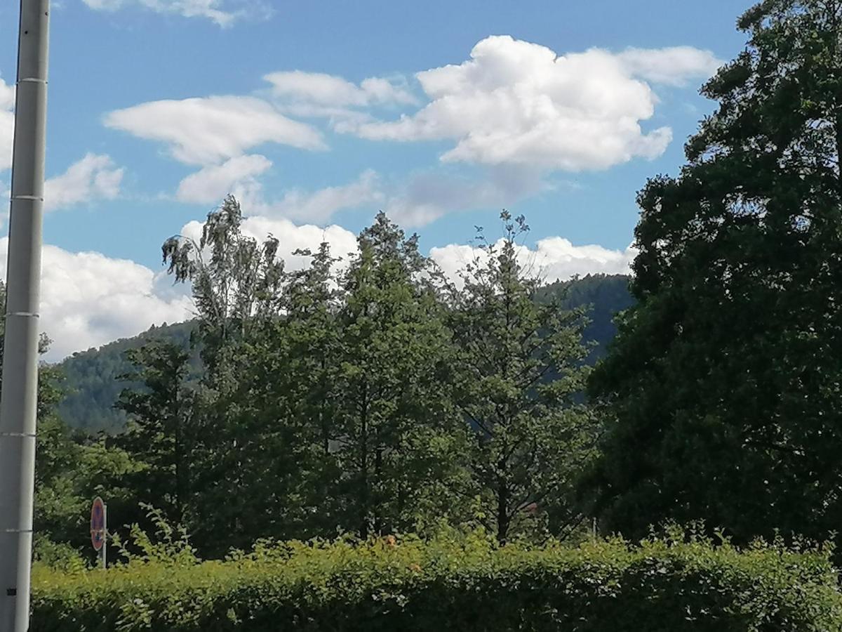 Toepferblick Appartement Olbersdorf Buitenkant foto