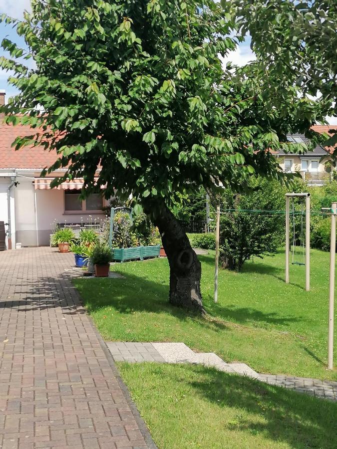 Toepferblick Appartement Olbersdorf Buitenkant foto